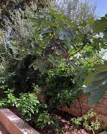 Grisia Apartament